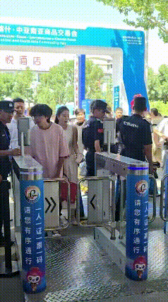 5.gif